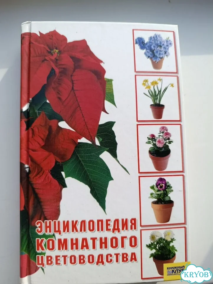 Энциклопедия комнатного цветоводства фото 1