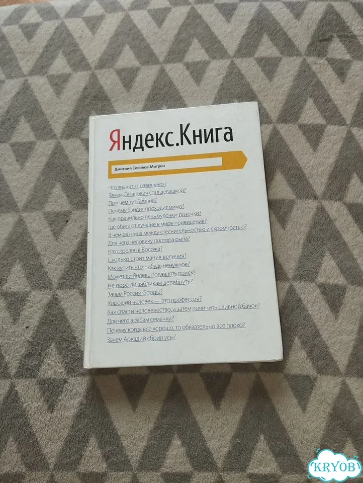 Дмитрий Соколов-Митрич Яндекс. Книга фото 1