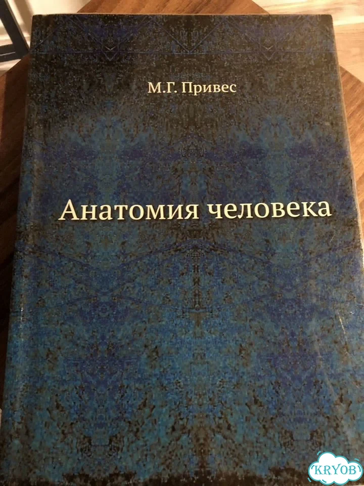 Атлас анатомии человека Привес фото 1