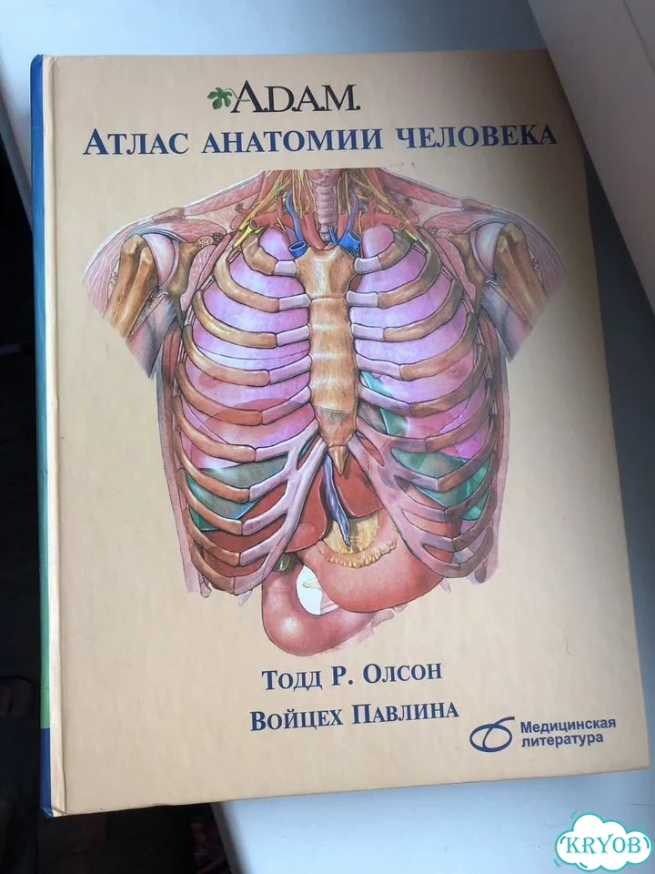 Атлас анатомии человека Олсон, Павлина фото 1
