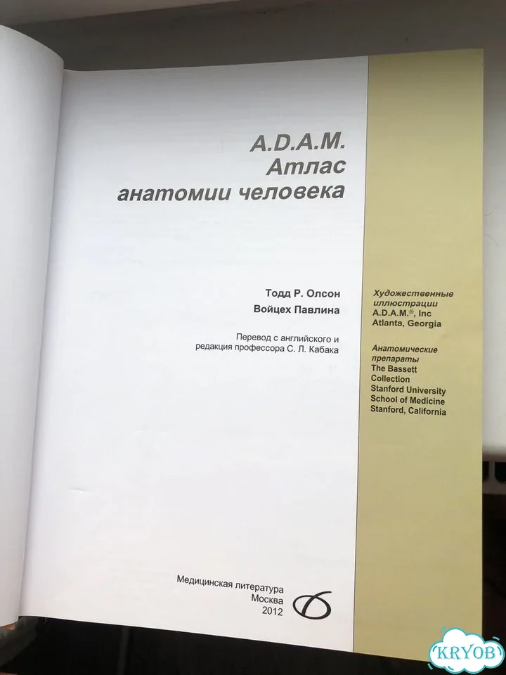 Атлас анатомии человека Олсон, Павлина фото 2