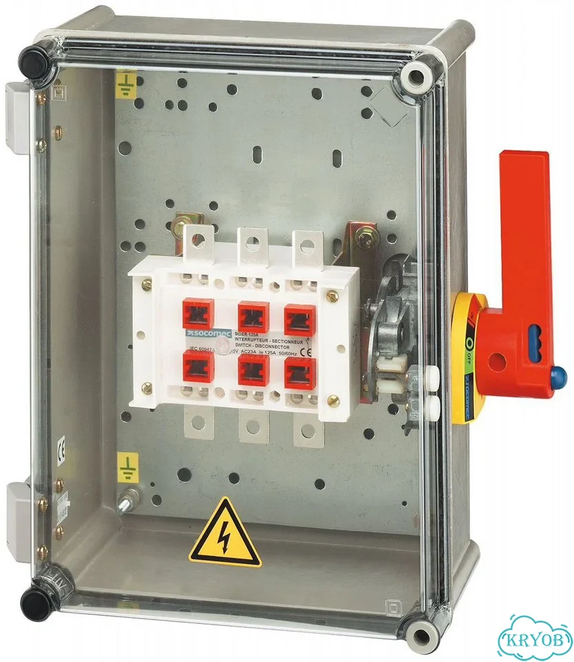 Socomec Non-Fused Switch Disconnector F163D10 фото 1