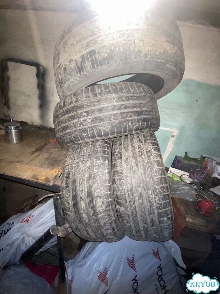 Dunlop Direzza 02G 215/50 R17 24V фото 2