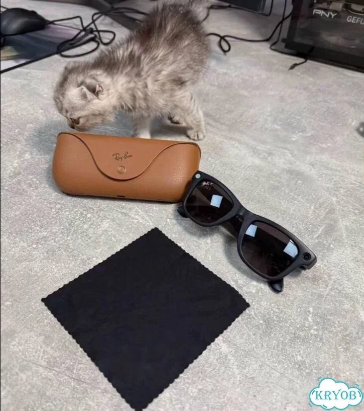 Очки ray ban с камерой gen2 фото 2