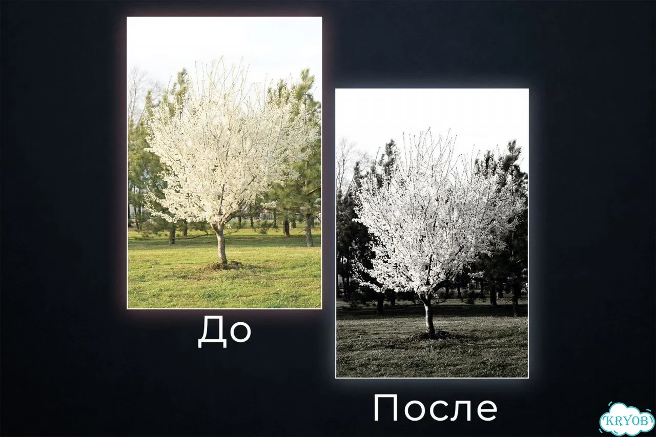 Качественная обработка и цветокоррекция фотографий фото 4