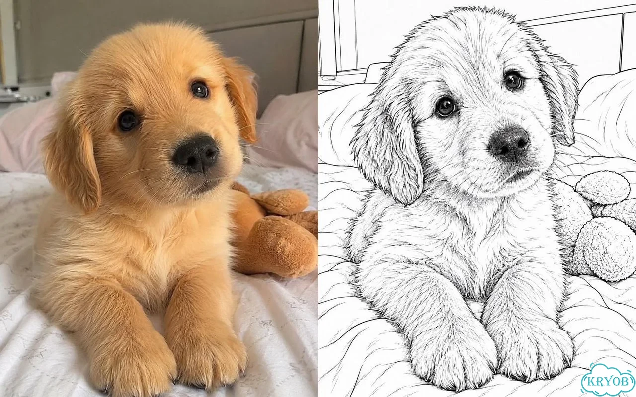 Раскраска по вашим фото фото 1