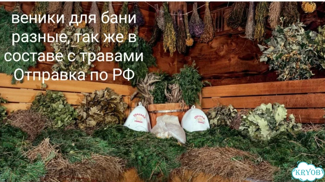 Веники дубовые, березовые,из липы свежие фото 1