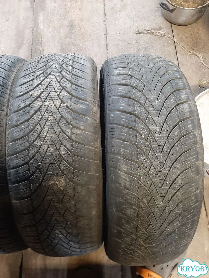 Arivo Winmaster ProX ARW3 185/55 R16 фото 2