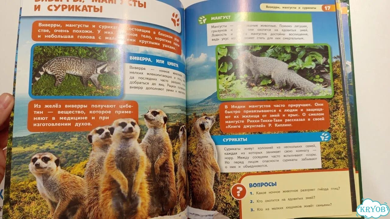 Энциклопедия для детей. Жестокие хищники фото 10