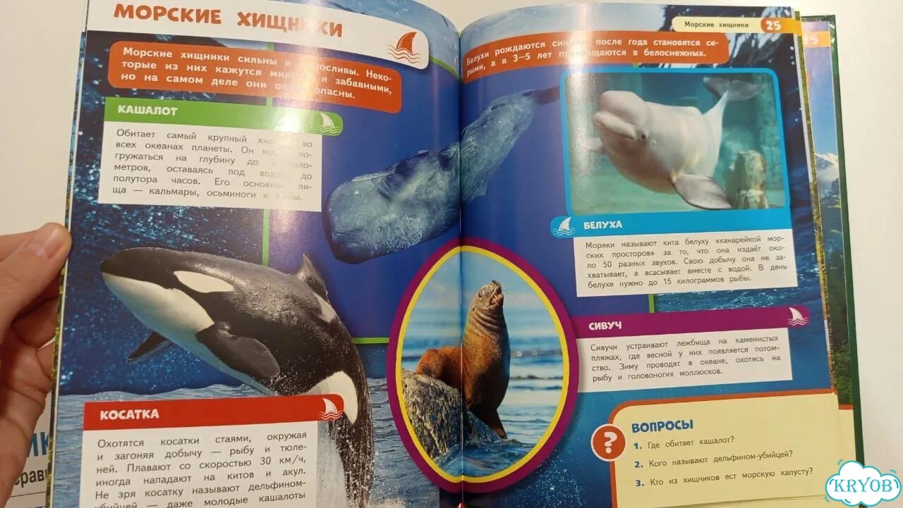 Энциклопедия для детей. Жестокие хищники фото 2