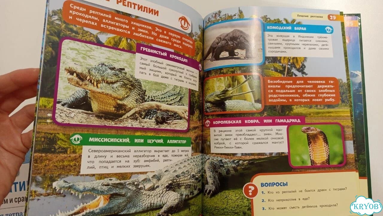 Энциклопедия для детей. Жестокие хищники фото 3