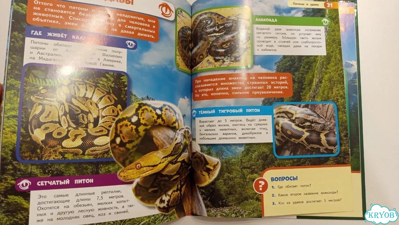 Энциклопедия для детей. Жестокие хищники фото 4
