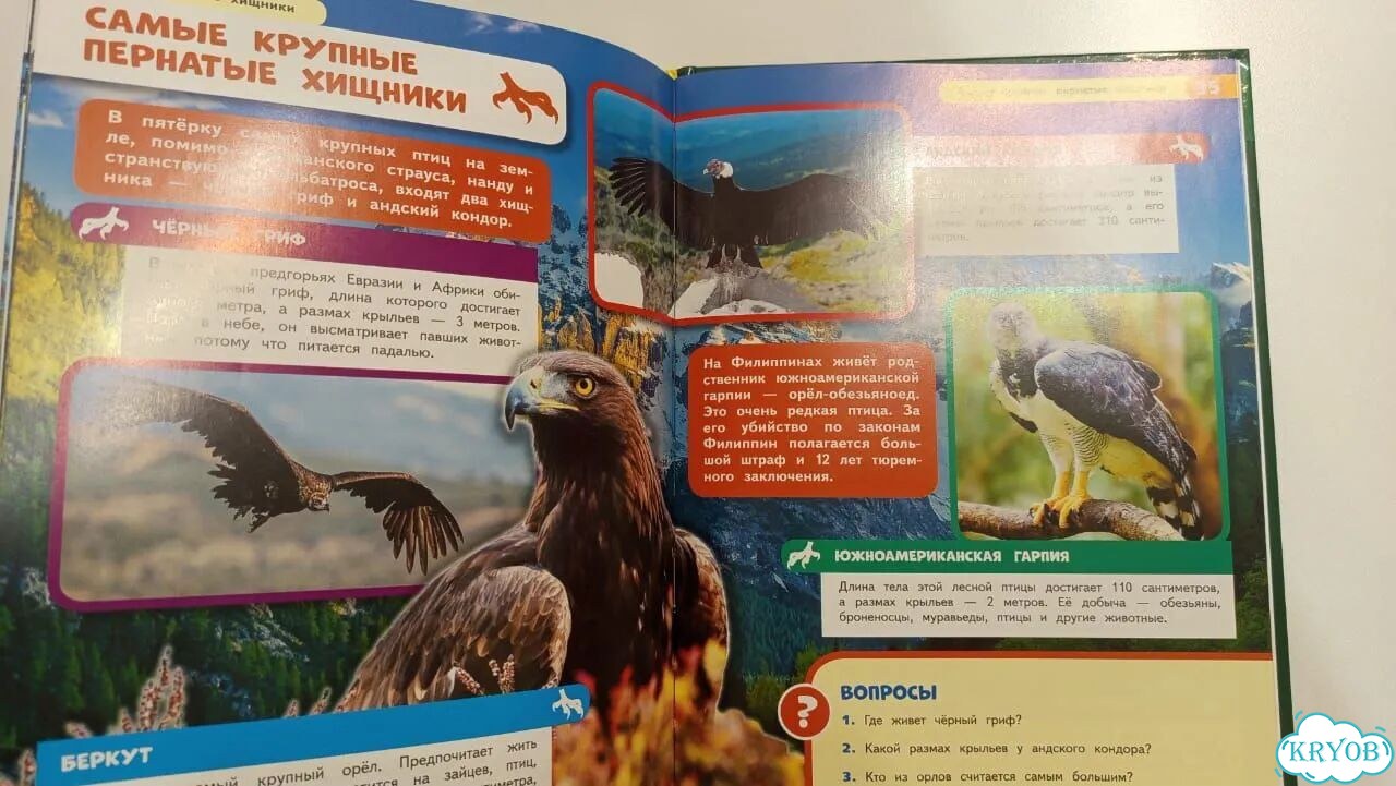 Энциклопедия для детей. Жестокие хищники фото 5