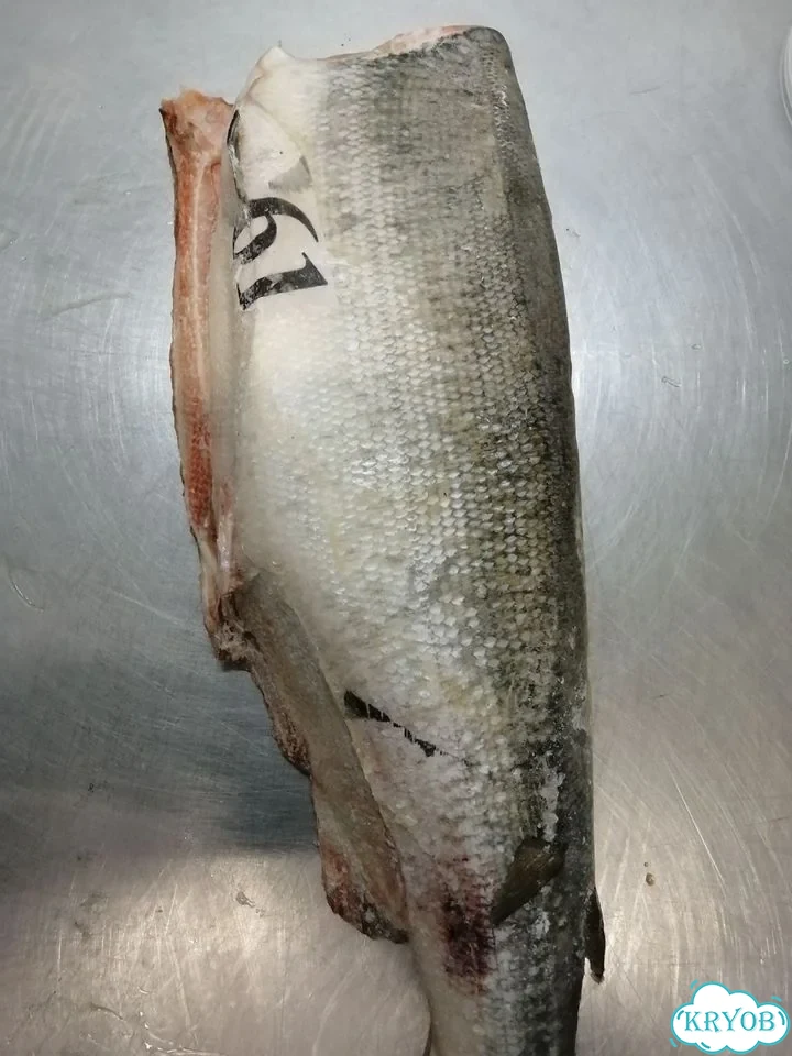 Красная рыба Кижуч умз фото 1
