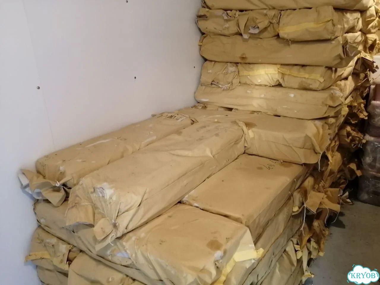 Красная рыба Кижуч умз фото 5