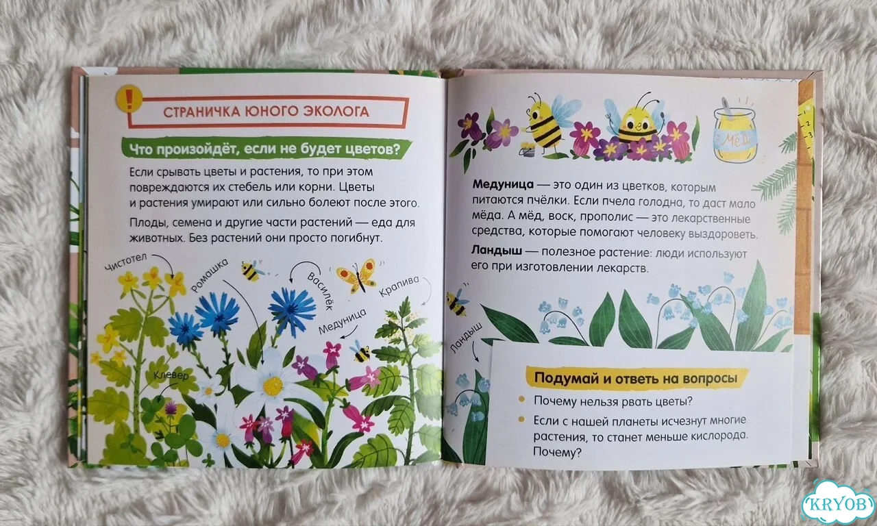 Экологические сказки фото 3