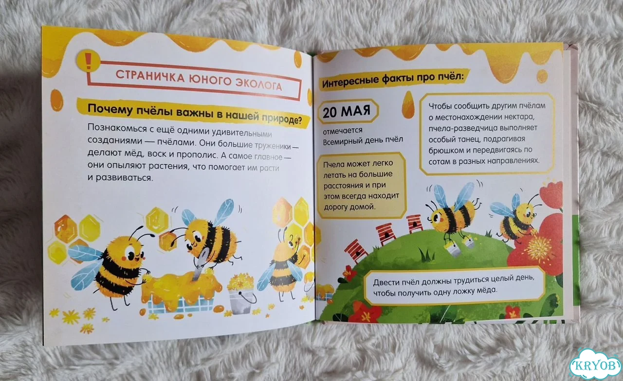 Экологические сказки фото 6