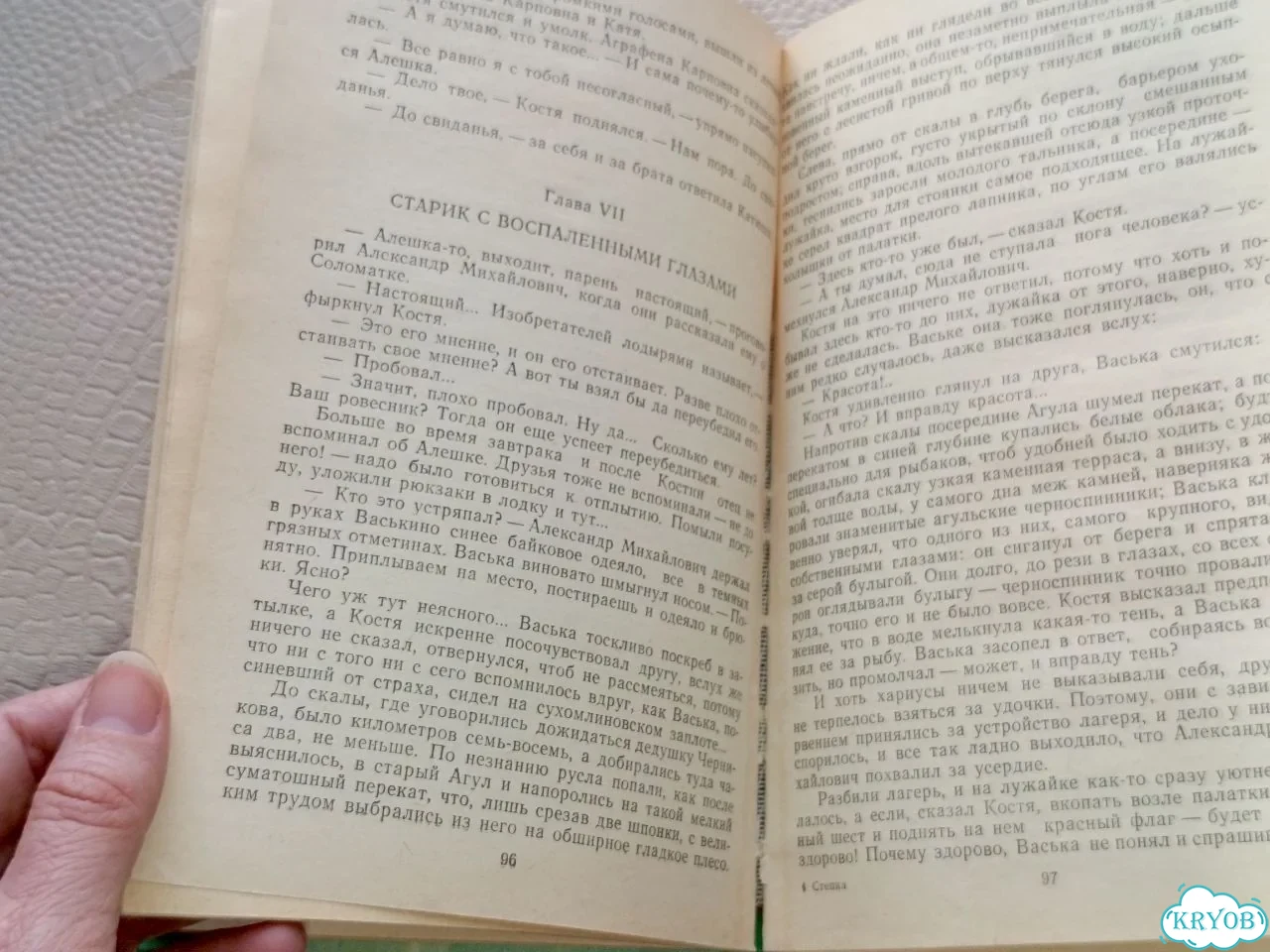 Редкая книга Стёпка Иван Пантелеев 1989 год СССР фото 5