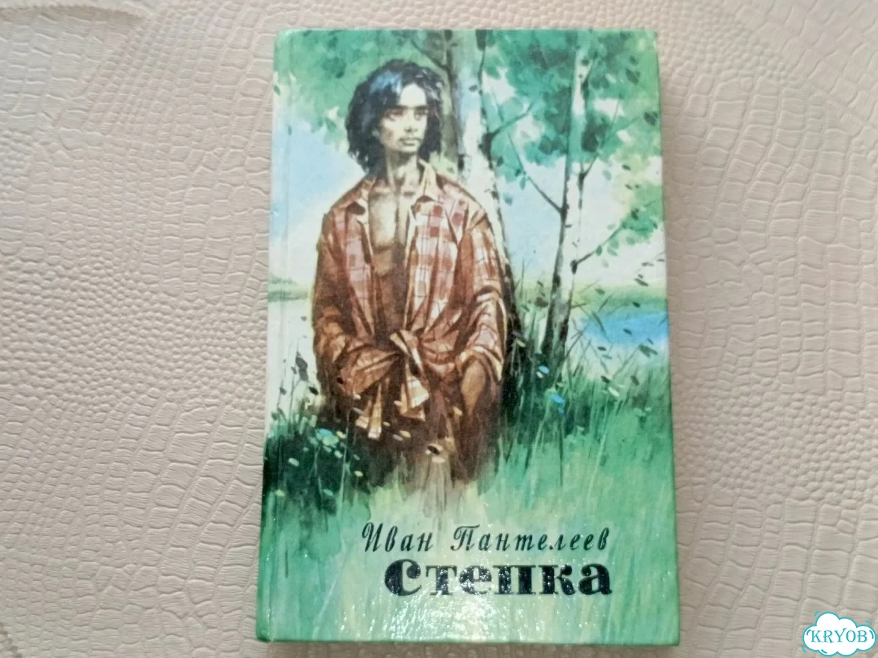 Редкая книга Стёпка Иван Пантелеев 1989 год СССР фото 8