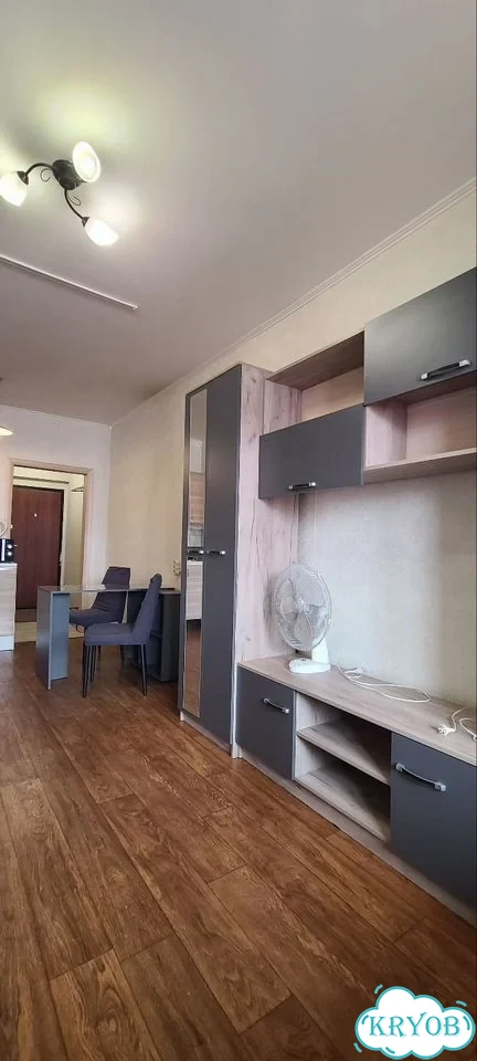 Квартира-студия, 22 м², 11/18 эт. фото 3