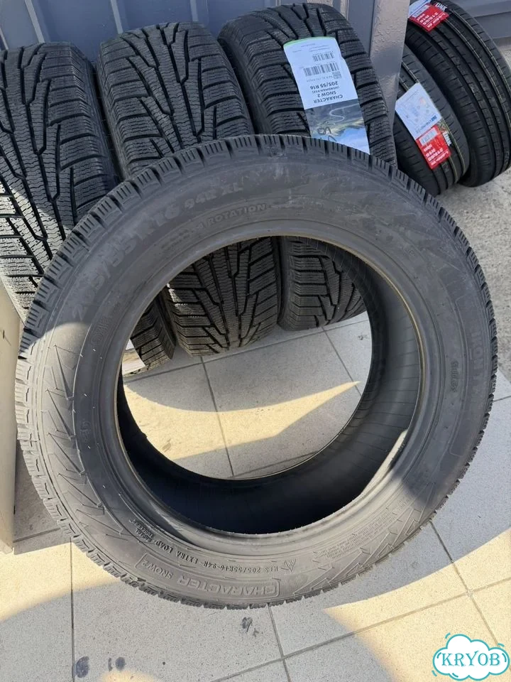Ikon Tyres CHARACTER SNOW 2 205/55 R16 94R фото 3