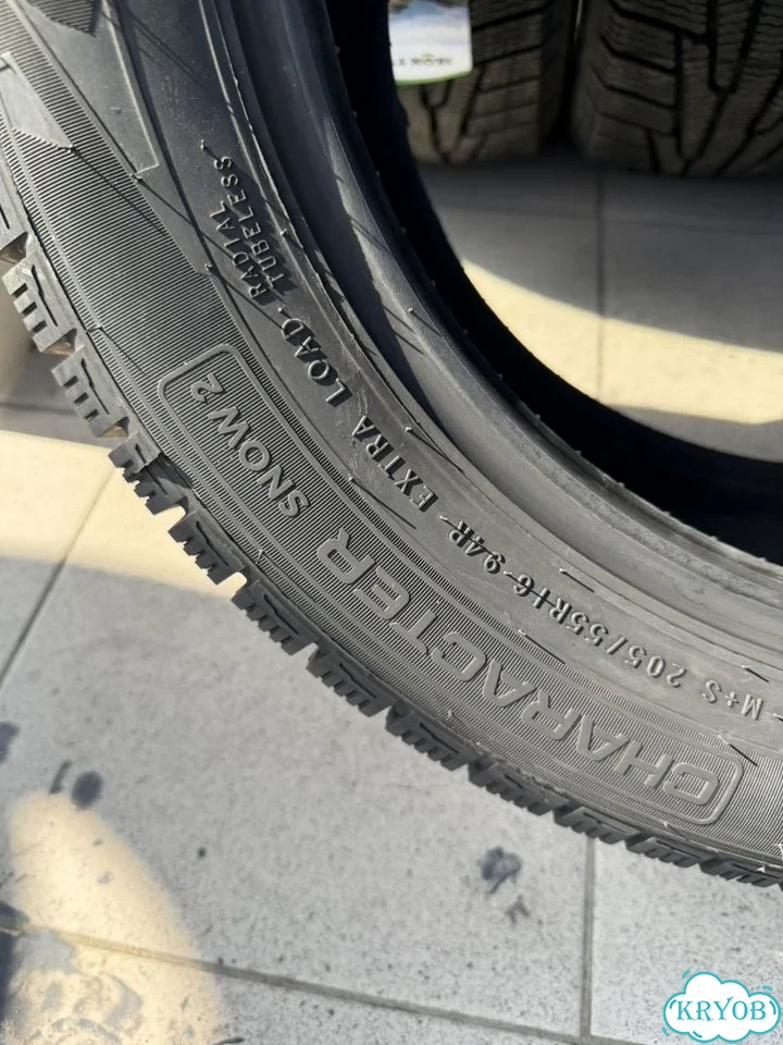 Ikon Tyres CHARACTER SNOW 2 205/55 R16 94R фото 7