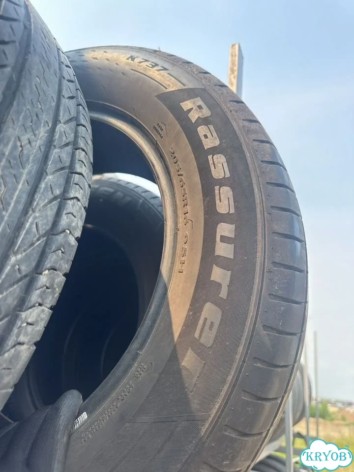 Kapsen Rassurer K737 205/65 R16 фото 7