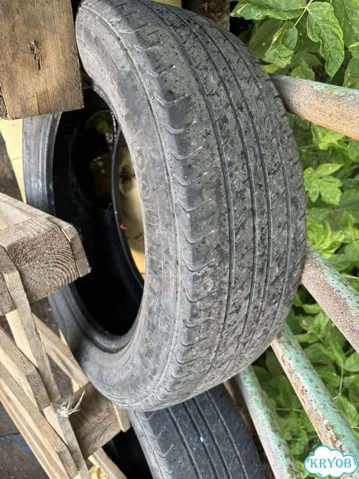 DoubleStar Maximum DH02 195/60 R15 30Y фото 1