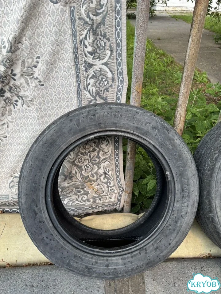 DoubleStar Maximum DH02 195/60 R15 30Y фото 2