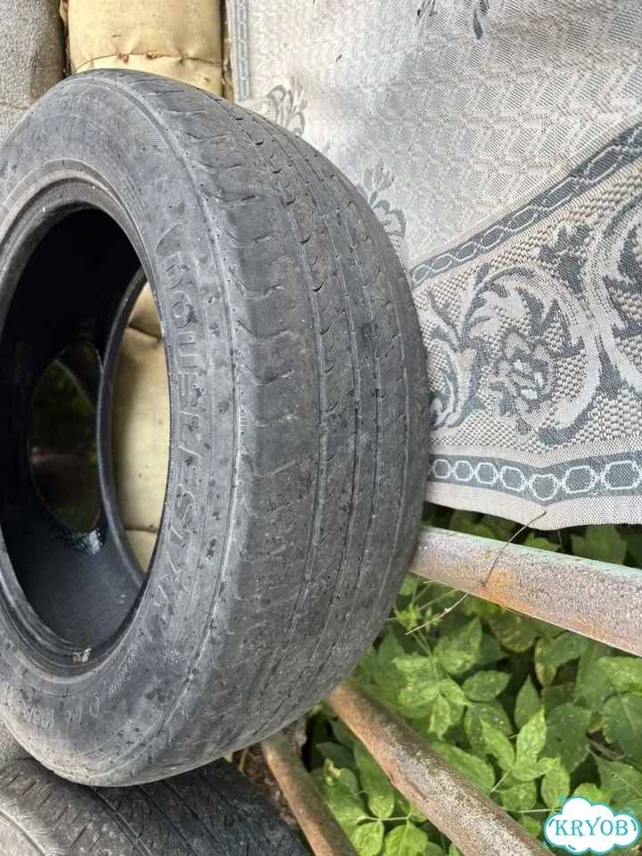 DoubleStar Maximum DH02 195/60 R15 30Y фото 3