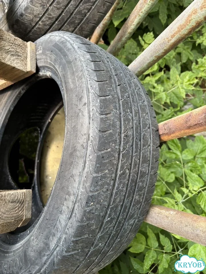 DoubleStar Maximum DH02 195/60 R15 30Y фото 4