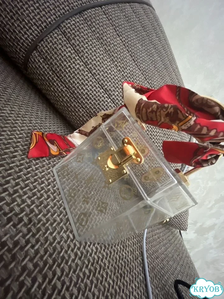 Сумка прозрачная акриловая Луи vuitton фото 1