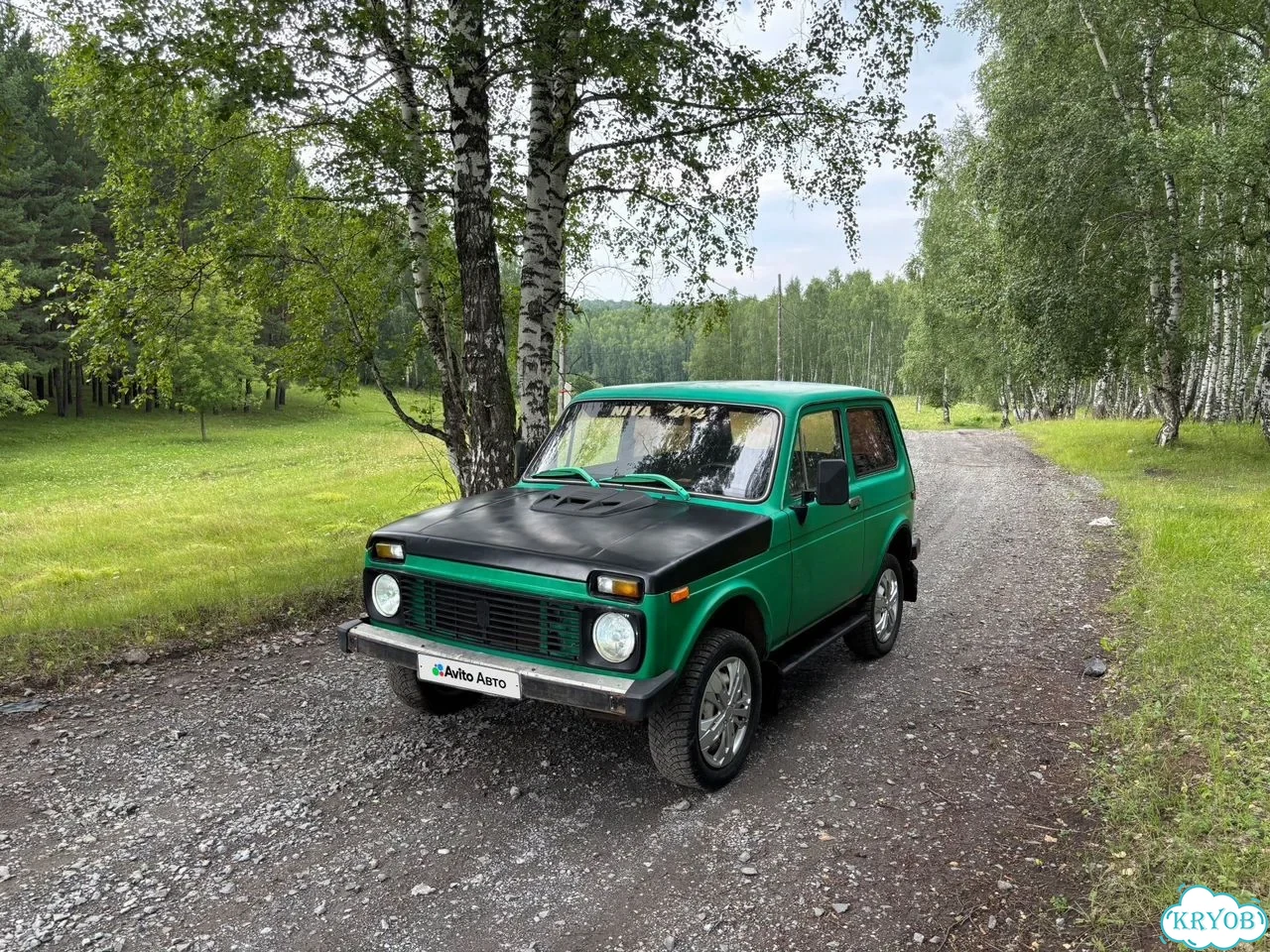 ВАЗ (LADA) 4x4 (Нива) 1.7 MT, 1980, 114 000 км фото 1