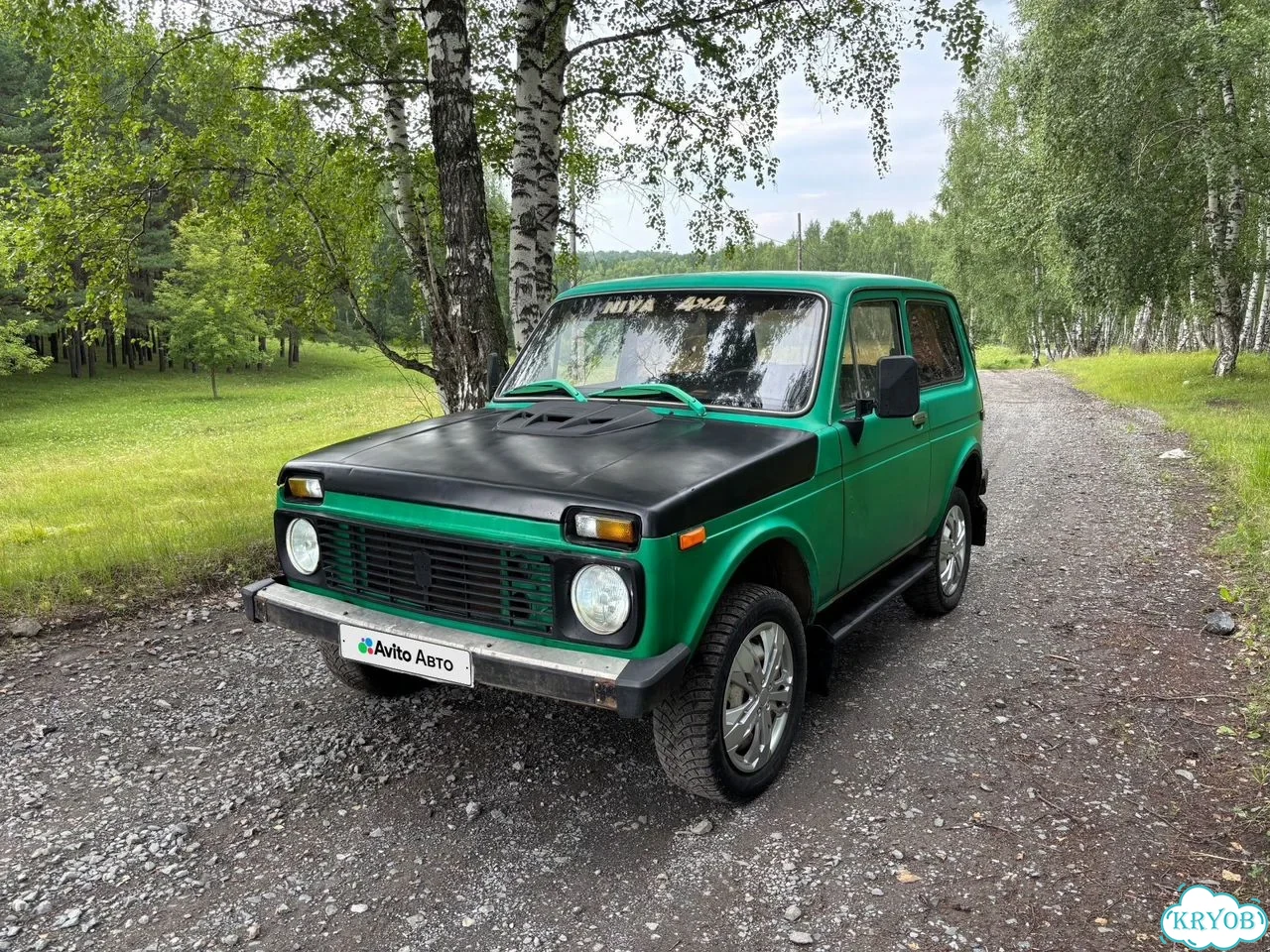 ВАЗ (LADA) 4x4 (Нива) 1.7 MT, 1980, 114 000 км фото 2