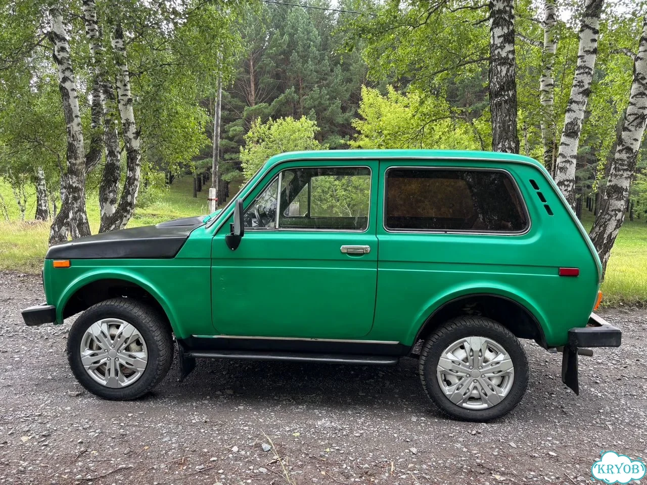 ВАЗ (LADA) 4x4 (Нива) 1.7 MT, 1980, 114 000 км фото 3