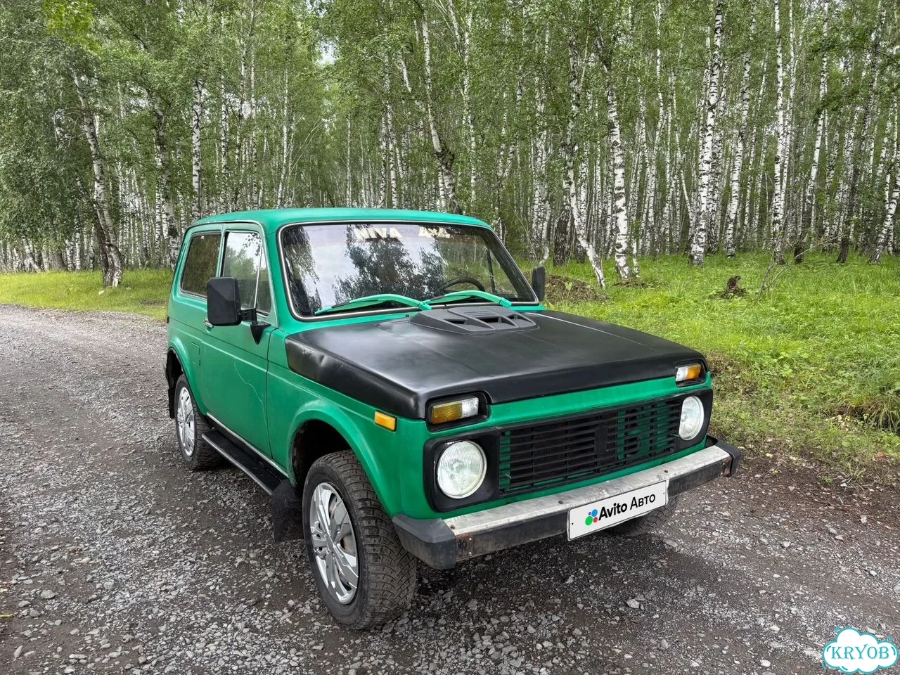 ВАЗ (LADA) 4x4 (Нива) 1.7 MT, 1980, 114 000 км фото 8