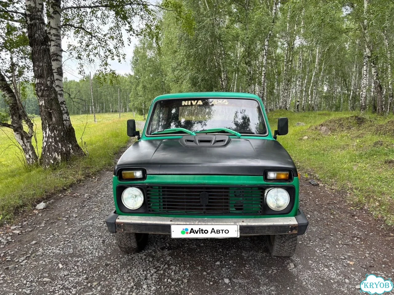 ВАЗ (LADA) 4x4 (Нива) 1.7 MT, 1980, 114 000 км фото 9