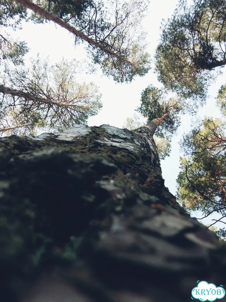 Монтаж фото и видео фото 5