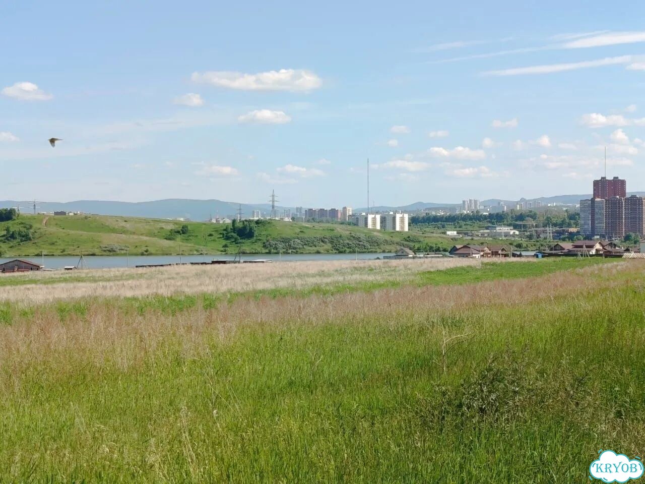 Участок 25 сот. (ИЖС) фото 4