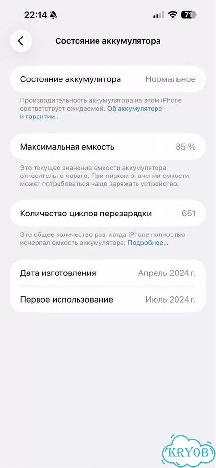iPhone 15 Pro Max, 256 ГБ, SIM + eSIM фото 6