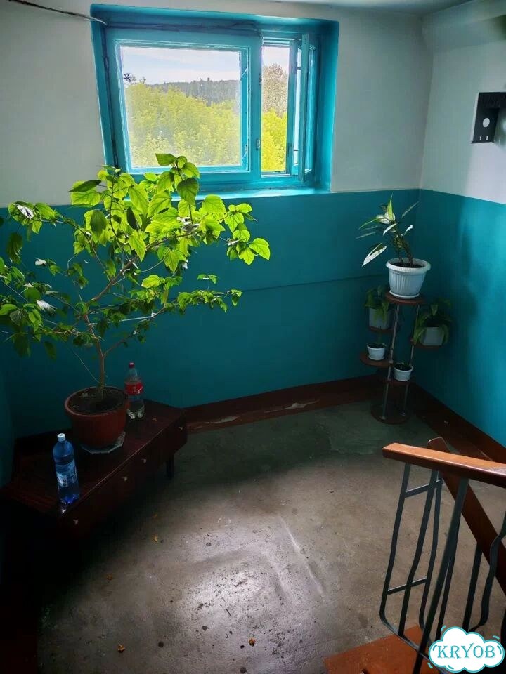 2-к. квартира, 54 м², 4/5 эт. фото 20