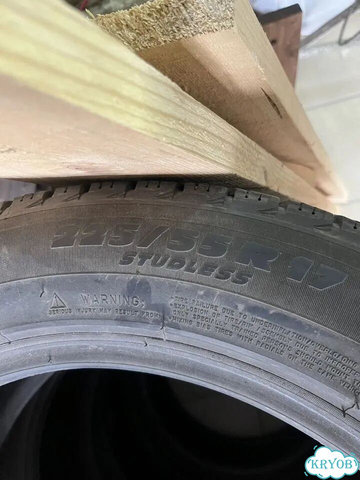 Michelin X-Ice 225/55 R17 фото 5