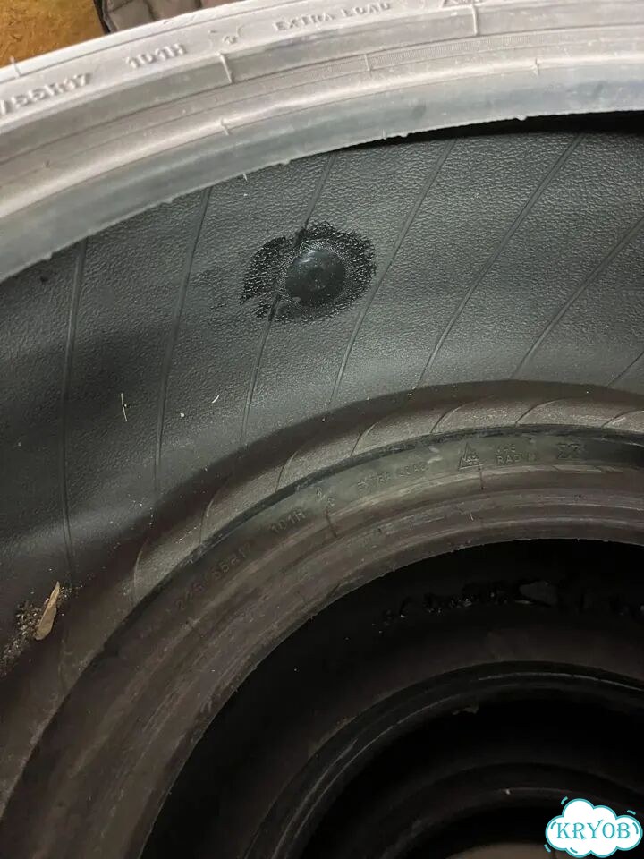 Michelin X-Ice 225/55 R17 фото 6