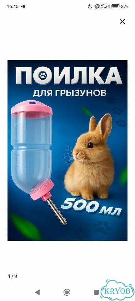 Декоративные кролики вислоухие фото 4