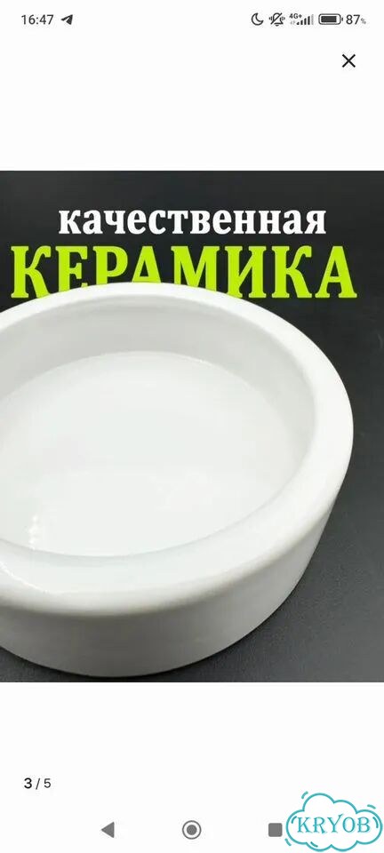 Декоративные кролики вислоухие фото 5