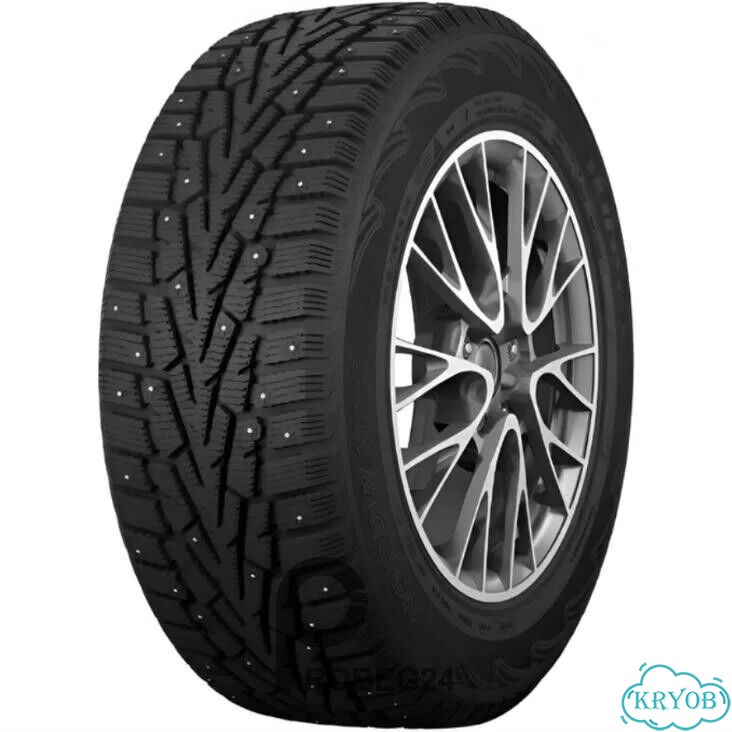 Tunga Nordway 205/55 R16 Q фото 1