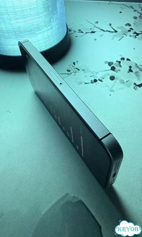iPhone SE, 32 ГБ, 1 SIM фото 5