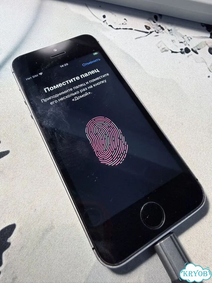 iPhone SE, 32 ГБ, 1 SIM фото 7