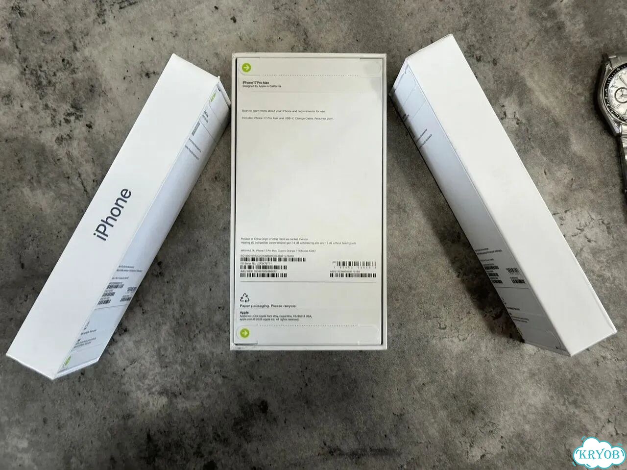 iPhone 17 Pro Max, 1 ТБ, 1 SIM фото 3