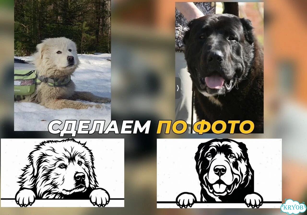 Стильная табличка на дом по фото животного, металл фото 9